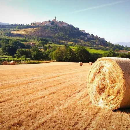 Dom wakacyjny Il Cortiletto Casa *
